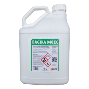 Bagira 040 EC
