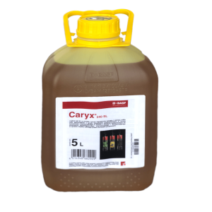 Caryx 240 SL