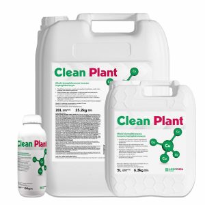 Clean Plant