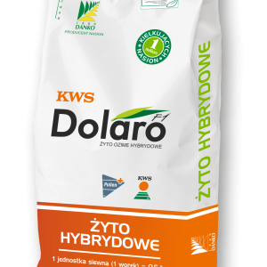 Żyto ozime KWS DOLARO F1 C/1