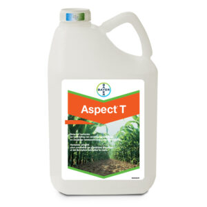 Aspect T