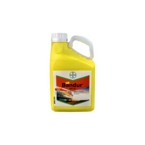 Bandur 600 SC