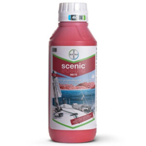 SCENIC 080 FS