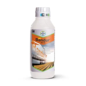 Bandur 600 SC (aklonifen) [1L]