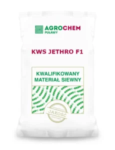 Żyto ozime mieszańcowe KWS JETHRO F1