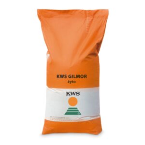 Żyto ozime mieszańcowe KWS GILMOR F1