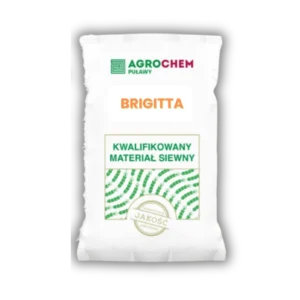 Jęczmień jary pastewny BRIGITTA