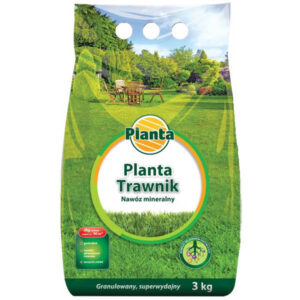 Planta trawnik