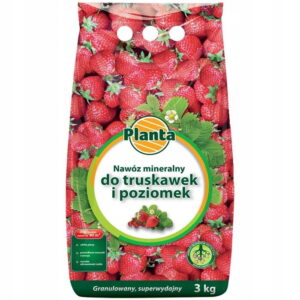 Planta pod truskawki i poziomki