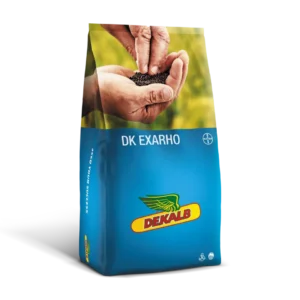 Rzepak oz DK EXARHO