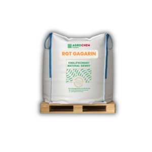 Jęczmień RGT GAGARIN C/1 BB