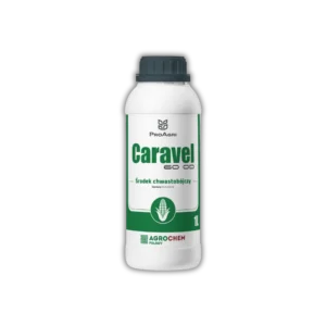 CARAVEL 60 OD (nikosulfuron) [1L]