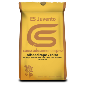 Rzepak oz ES Juvento F1